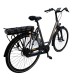 Bicicleta Electrica Stella Livorno Dama FDST RTE 2.0 - 28 Inch