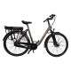 Bicicleta Electrica Stella Livorno Dama FDST RTE 2.0 - 28 Inch